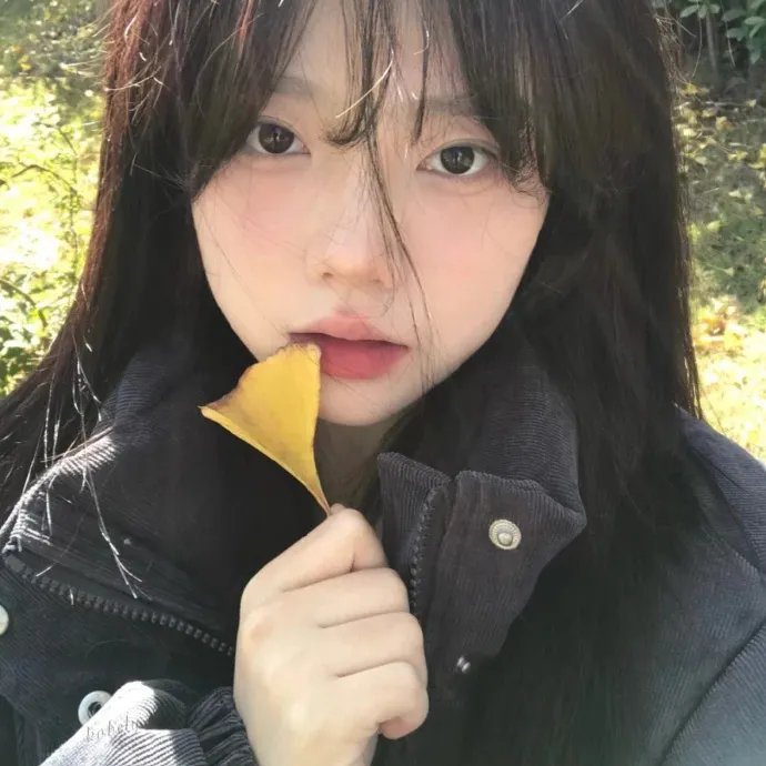 折翼蝴蝶